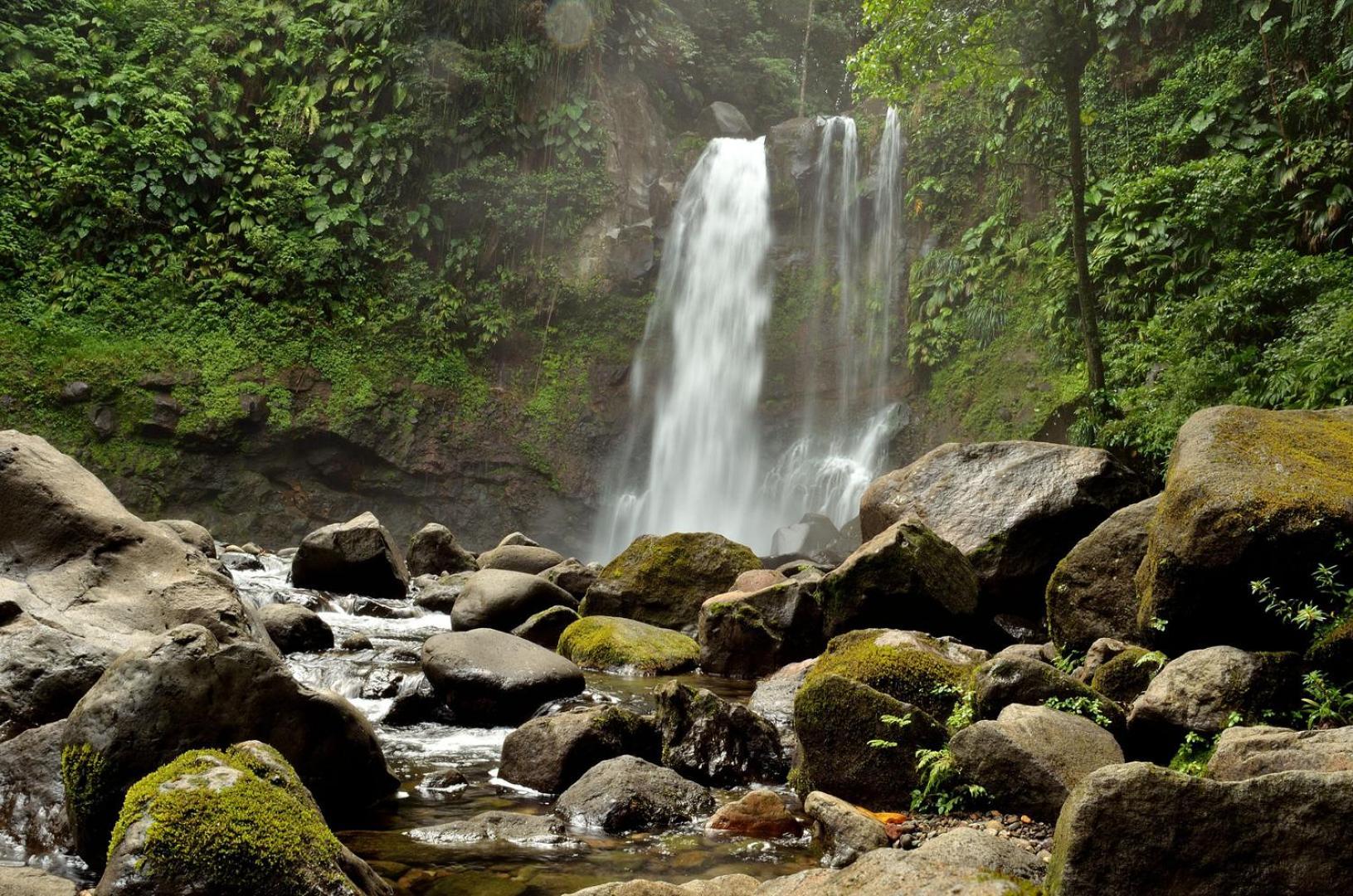 River Paradise Goyave Exterior photo
